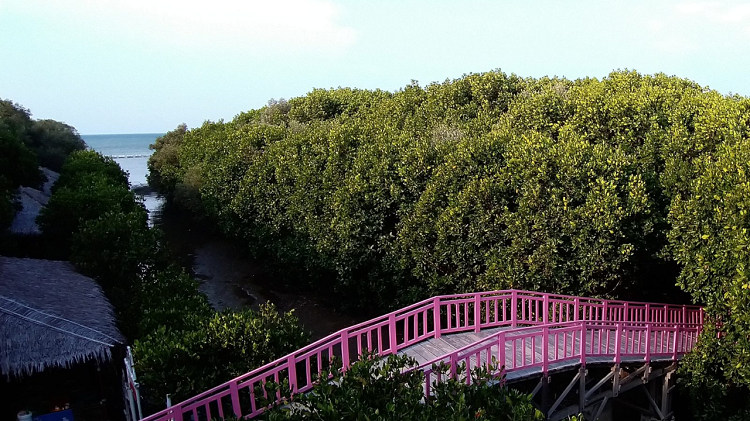 Surga Tersembunyi untuk Healing Murah di Brebes Cocok untuk Liburan, Simak Informasi Lengkapnya Berikut Ini