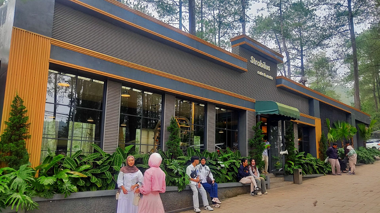 Pesona Strobilus Cafe & Resto, Destinasi Kuliner Estetik Dekat Tangkuban Perahu