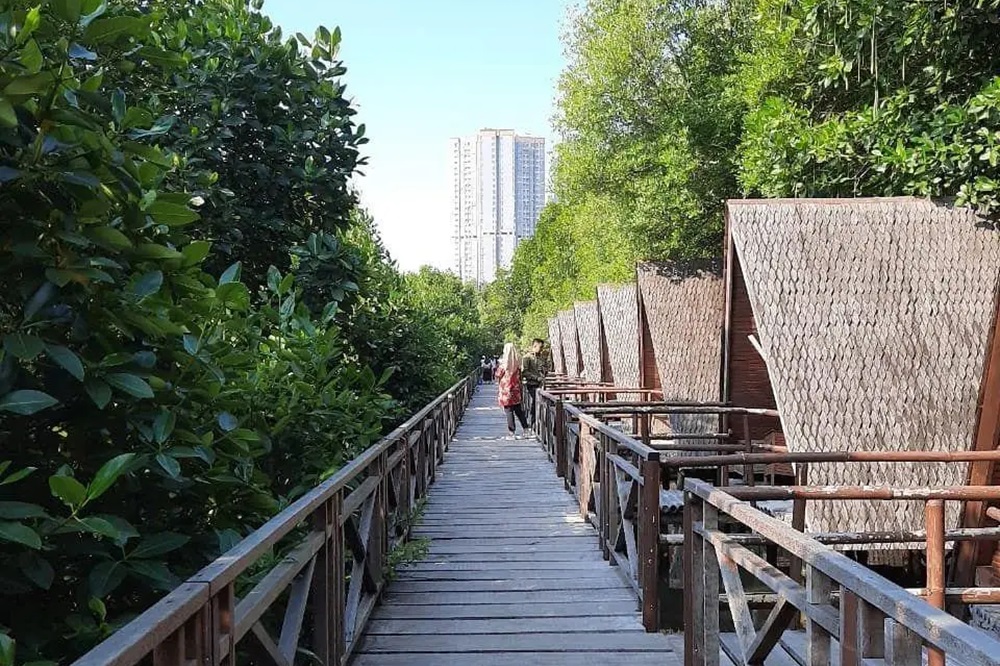8 Wisata Hutan Mangrove di Indonesia dengan Pemandangan Menakjubkan, Bisa Jadi Pilihan untuk Tempat Liburan