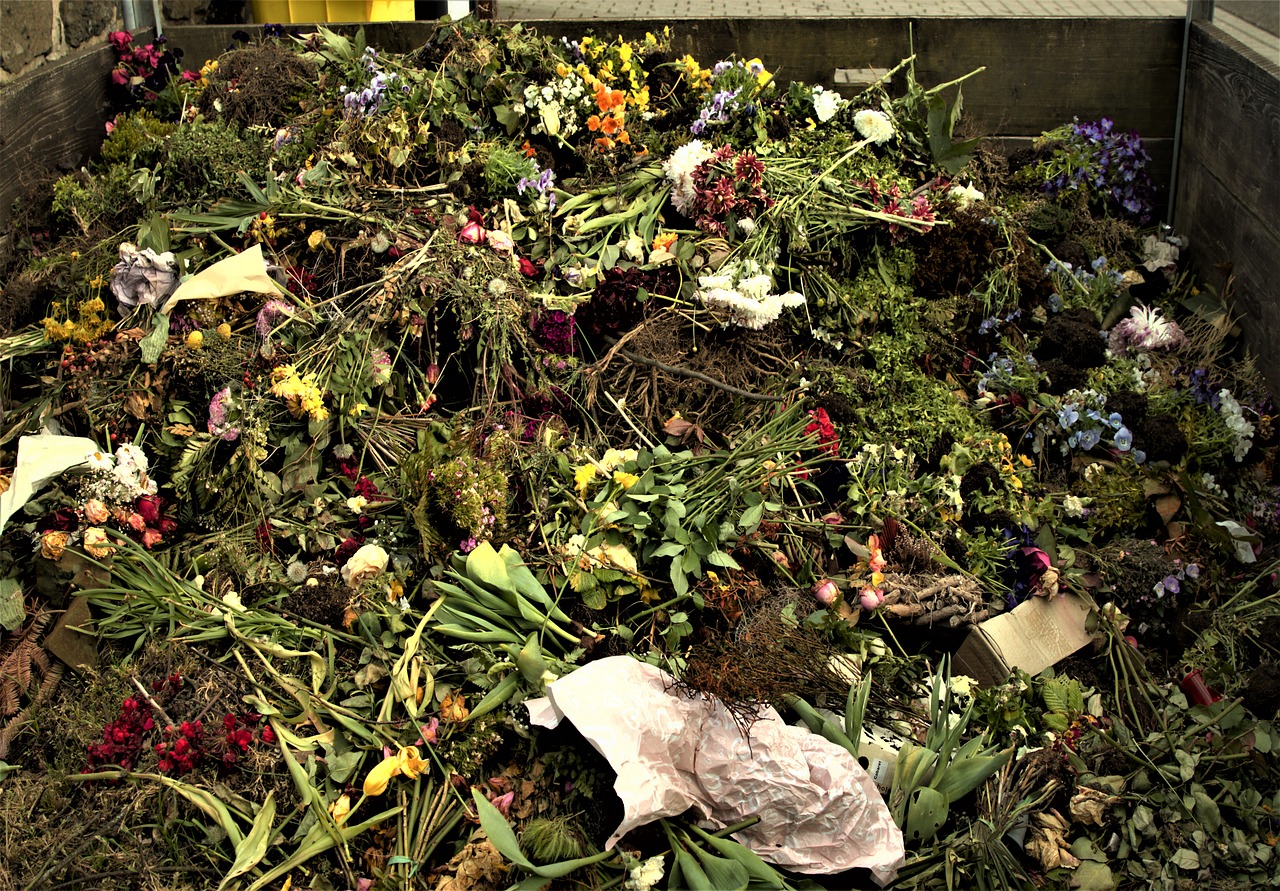 Sampah Organik: Dampak Berbahaya Terhadap Lingkungan dan Solusi Mengatasinya