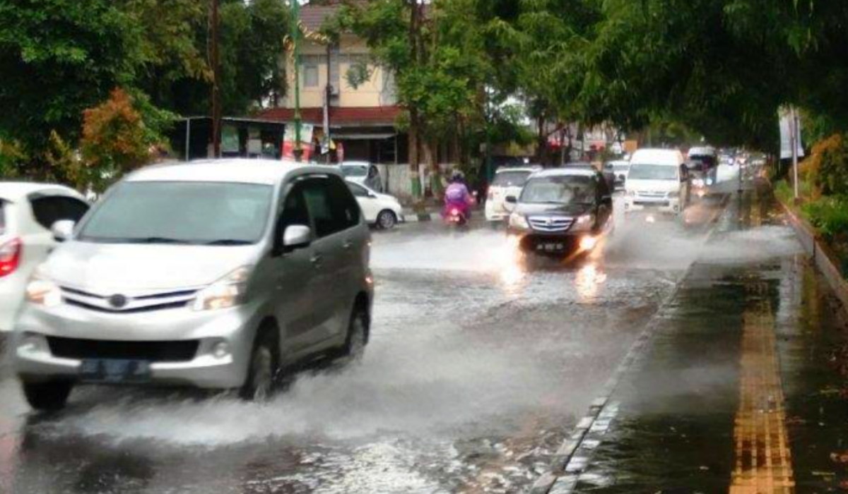 Hujan Deras Mengguyur Sleman, Rumah Warga Rusak dan Pohon Banyak yang Tumbang