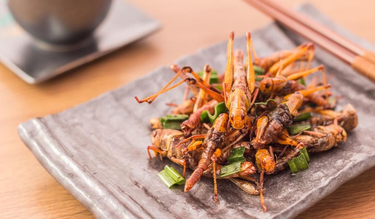 7 Ragam Kuliner Ekstrem Indonesia yang Berikan Pengalaman Bersantap Anti Mainstream, Cek Disini