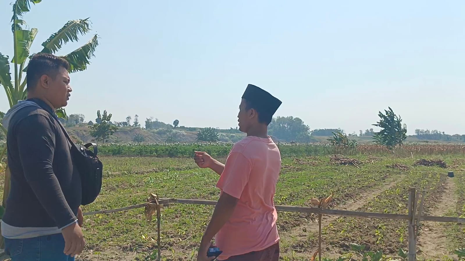 Calo Pembebasan Lahan di Brebes Marak, Tanah Warga Dibeli Rp 20 Ribu per Meter Persegi