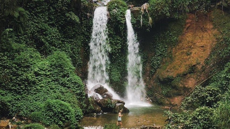 Wisata di Tengah Hutan! Wisata Terbaru 2024 yang Unik dengan Kelangkaan Pemandangannya Dijamin Bikin Nyaman