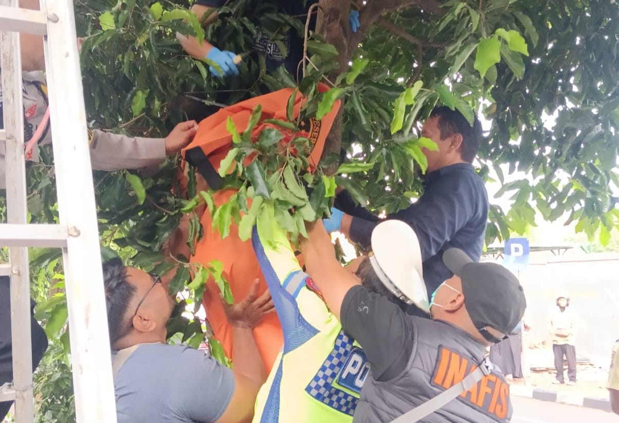 Pria Muda Ditemukan Tewas Gantung Diri di Pohon Dekat Sekolah Yogyakarta