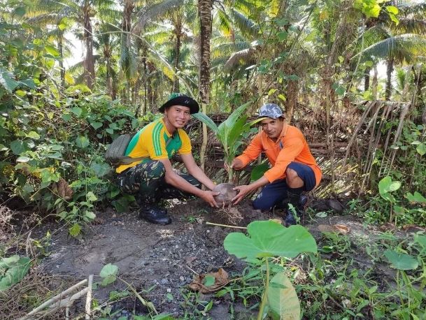 Cara Menanam Dan Merawat Pohon Kelapa Sejuta Manfaat Dijamin Berhasil