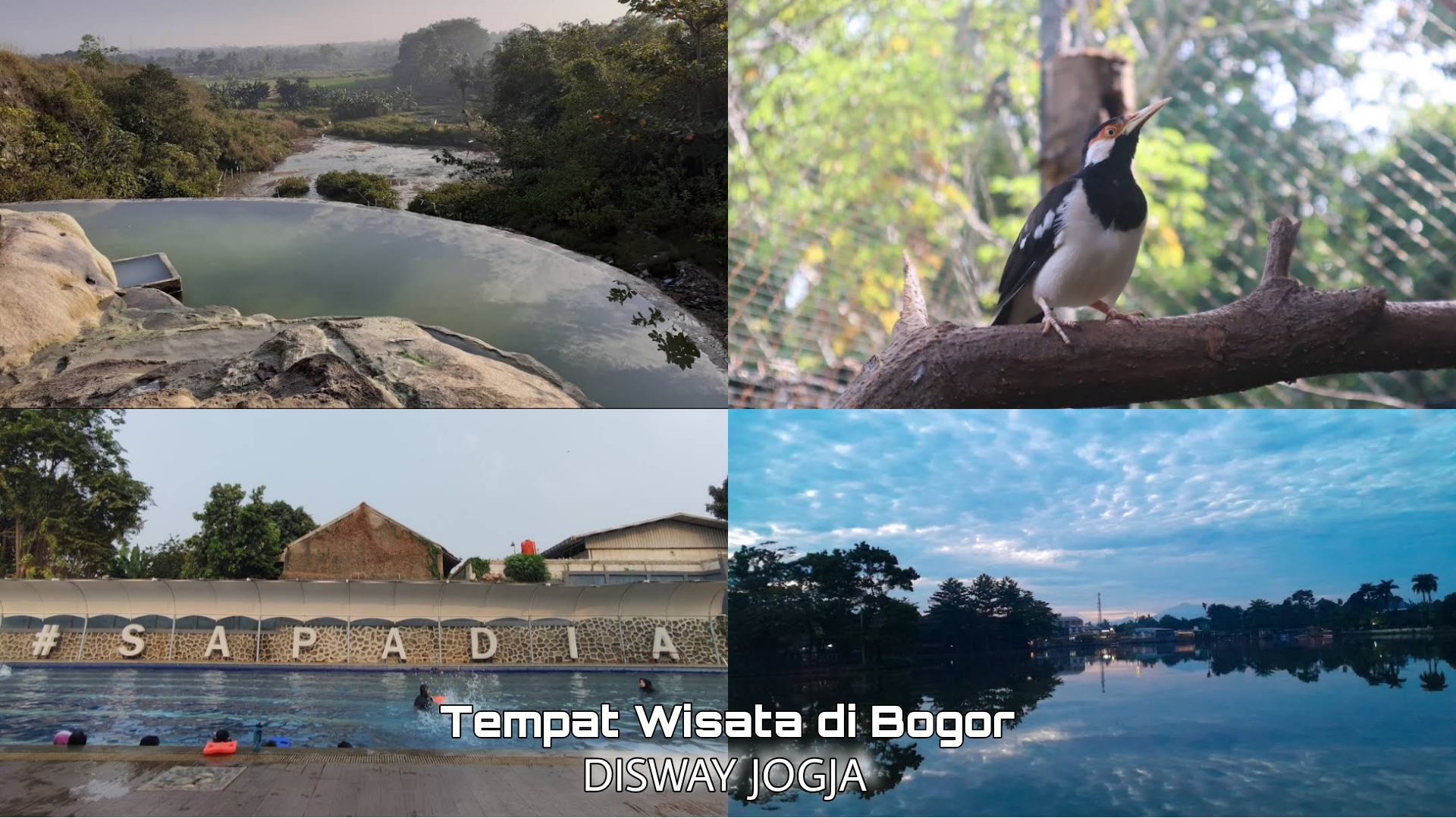 5 Tempat Wisata Terbaru 2024 Hidden Gems di Parung Bogor, Cocok Untuk Libur Lebaran Bersama Keluarga