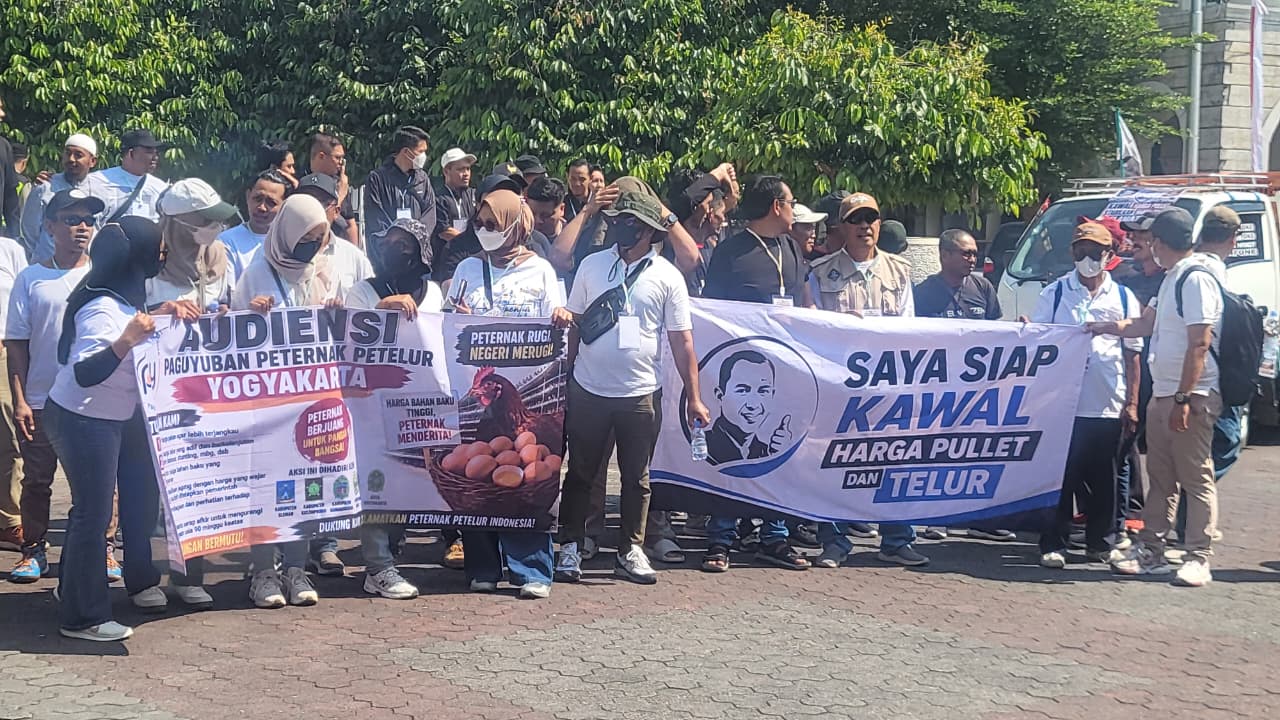 Paguyuban Peternak Telur Gelar Aksi Damai di DPRD DIY, Ini 6 Tuntutannya