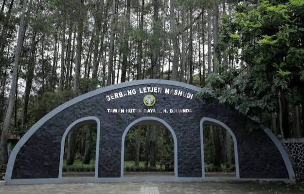 Taman Hutan Raya Ir. H. Juanda Bandung, Jelajahi Pesona Alam Sejarah Wisata Terbaru 2024