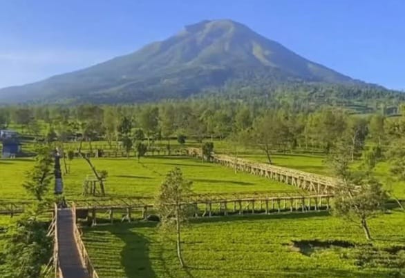 Kebun Teh Tambi Sikatok? Destinasi Wisata Terbaru 2024 Wonosobo Buat Libur Lebaran, Simak Lokasi dan Pesonanya