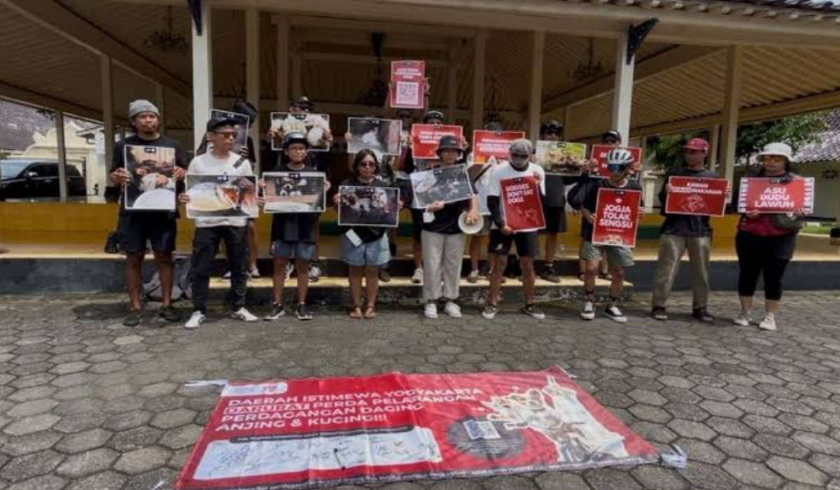 Makin Merajalela, Komunitas Masyarakat Peduli Satwa di Jogja Lakukan Aksi Penolakan Perdagangan Daging Anjing