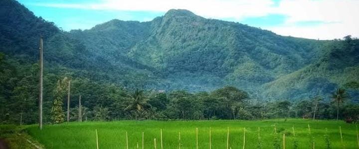 3 Fakta Desa Cawitali Kecamatan Bumijawa Tegal yang Menjadi Tempat Persinggahan Syekh Siti Jenar