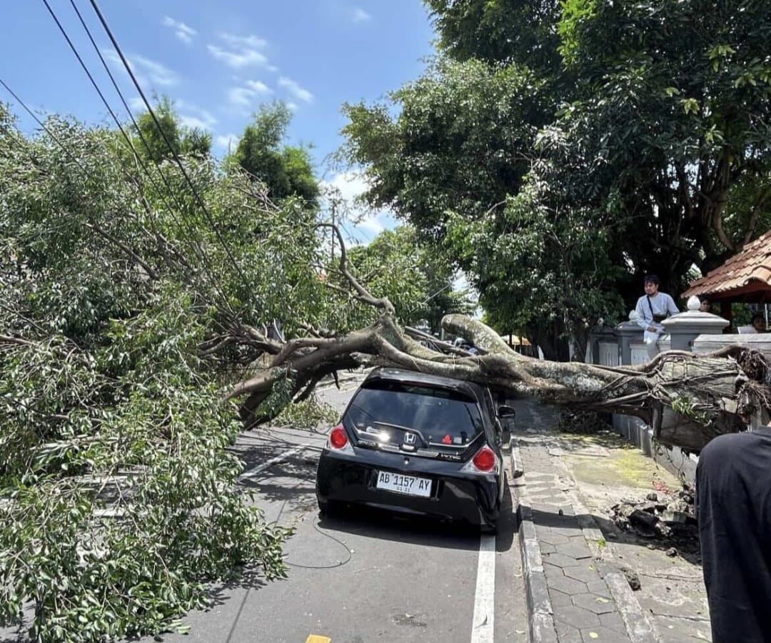 Angin Kencang Landa DIY, 68 Titik di Sleman Terdampak