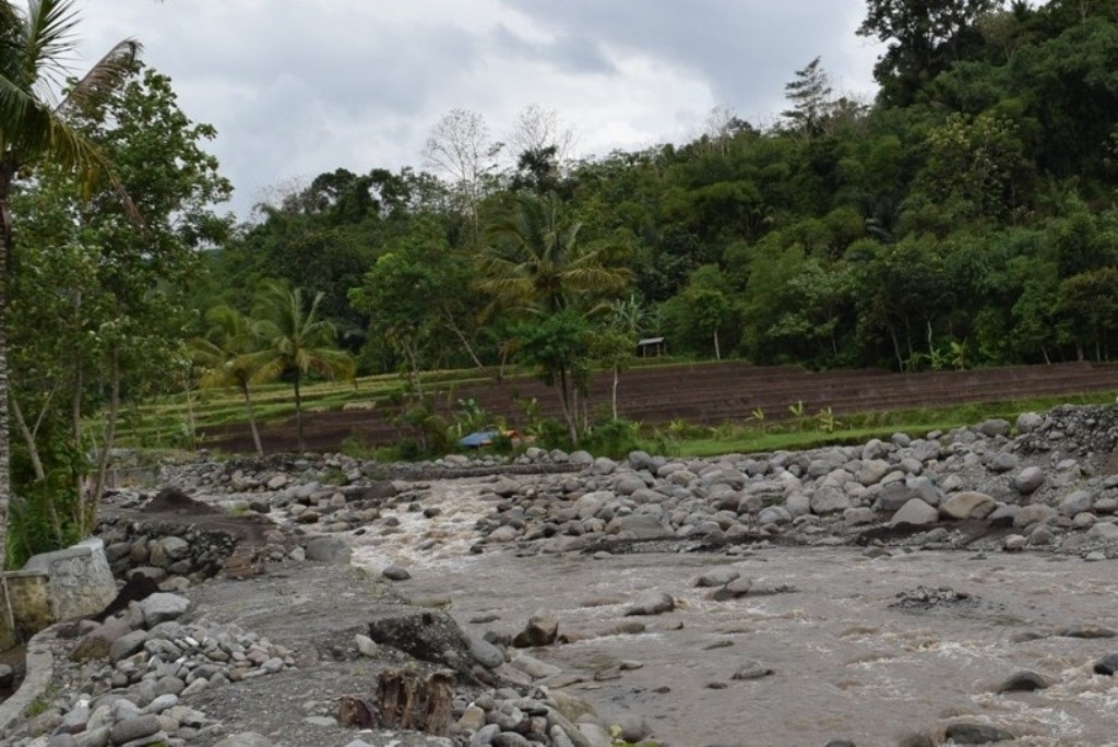 Debit Air Sungai Menurun, Petani Desa Kalinusu Brebes Semakin Kesulitan
