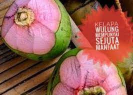 Simak! 7 Manfaat Kelapa Wulung Bagi Kesehatan Anda!