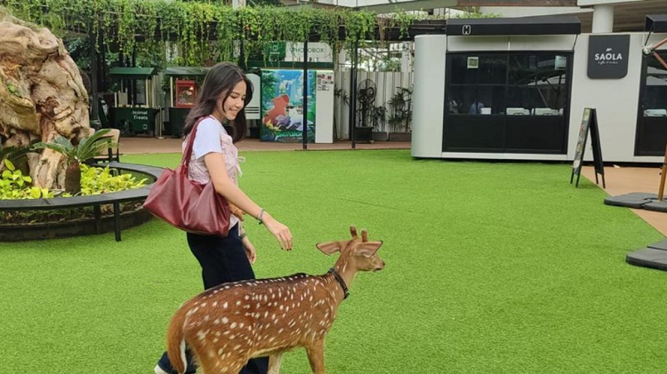 Liburan Anak Jadi Menyenangkan, Berikut Rekomendasi Mini Zoo di Jabodetabek