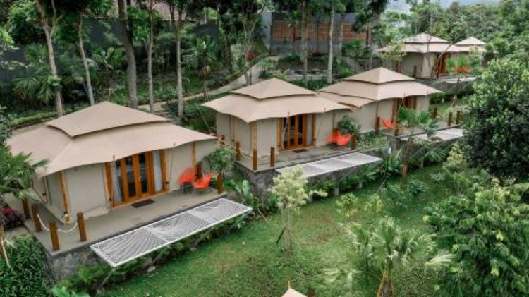 Alternatif Pilihan Glamping Terbaik di Bogor untuk Liburan Akhir Tahun, Cek Referensi Lengkapnya Disini