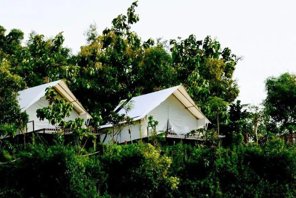 6 Tempat Glamping di Gunungkidul, Tawarkan Pengalaman Super Nyaman dengan Panorama Bikin Jatuh Hati