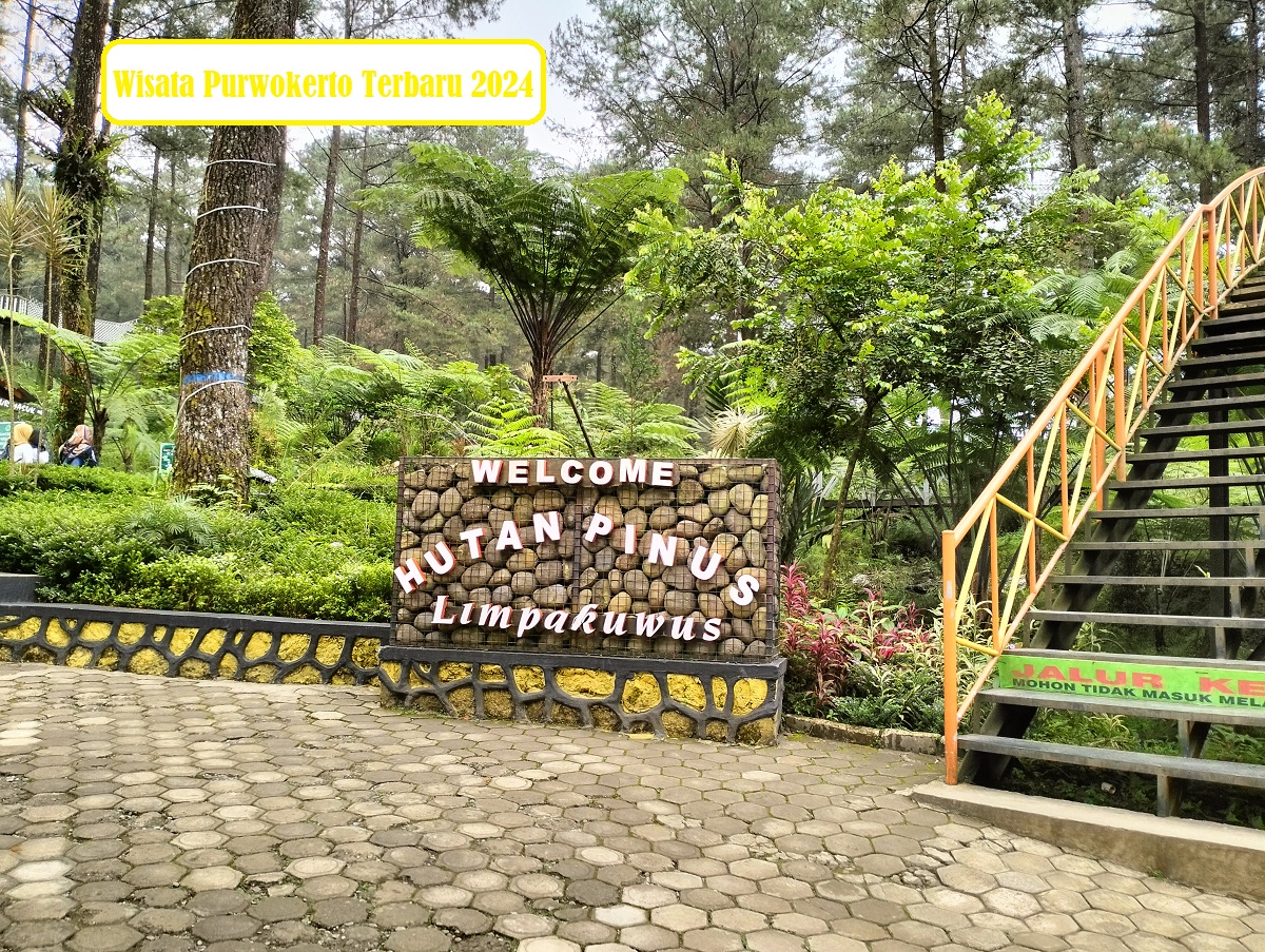Wisata Terbaru 2024 Purwokerto di Hutan Pinus Limpakuwus, Nikmati 7 Aktifitas Menarik Disini