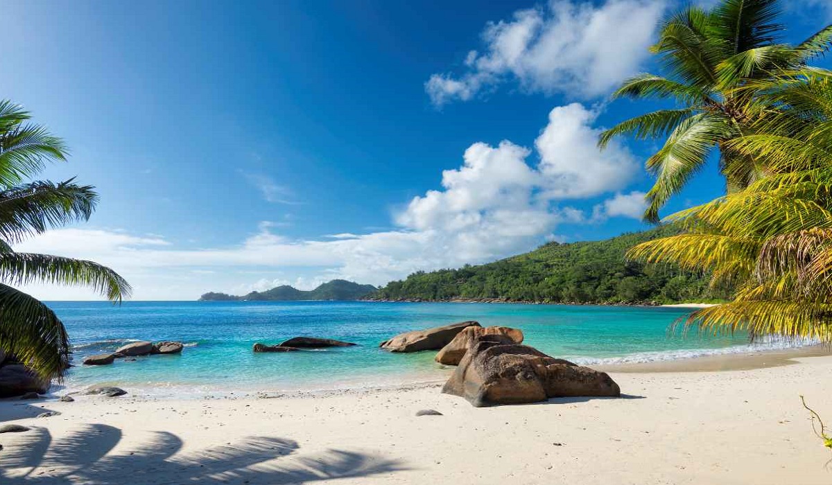 5 Destinasi Pinggir Pantai Menarik Jogja Tawarkan Suasana Hijau Menyegarkan Mata, Cek Disini