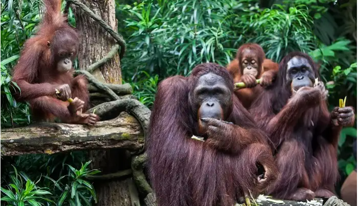 4 Destinasi Wisata Terbaru 2024 Bandung yang Cocok untuk Liburan Bersama Keluarga dan Anak-anak 