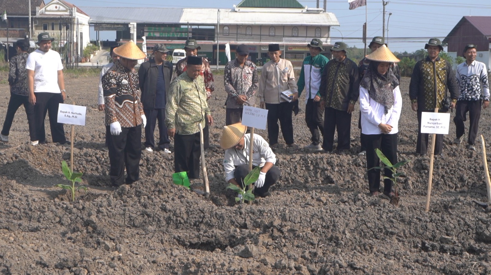 Laznas BMH dan Baitul Wakaf Resmikan Program Pertanian Pisang Cavendish di Sleman