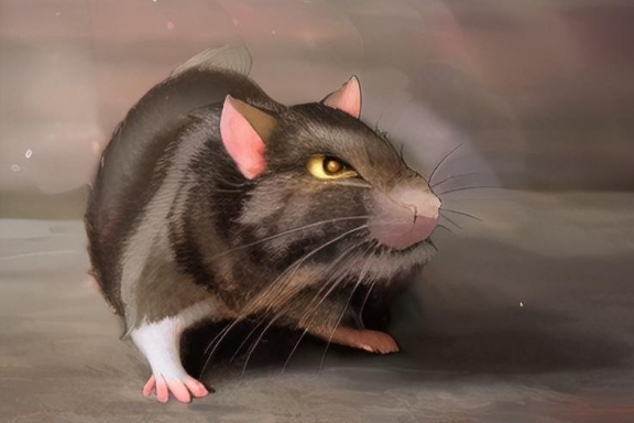 Kesal dengan Tikus di Rumah? Ternyata Banyak Cara Menghilangkan Tikus dan Mencegahnya Masuk Rumah