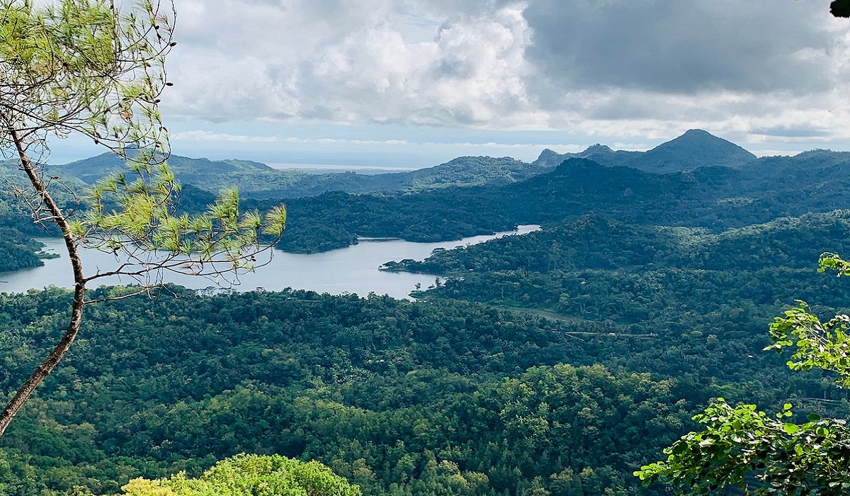 Berkunjung ke Wisata Kalibiru Jogja Tawarkan Pengalaman Seru, Cocok untuk Penggemar Alam dan Fotografi