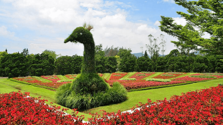 Eksplorasi Romantis Cianjur dari Bogor Untuk Pasangan, Berikut Informasi Selengkapnya Untuk Referensi Liburan