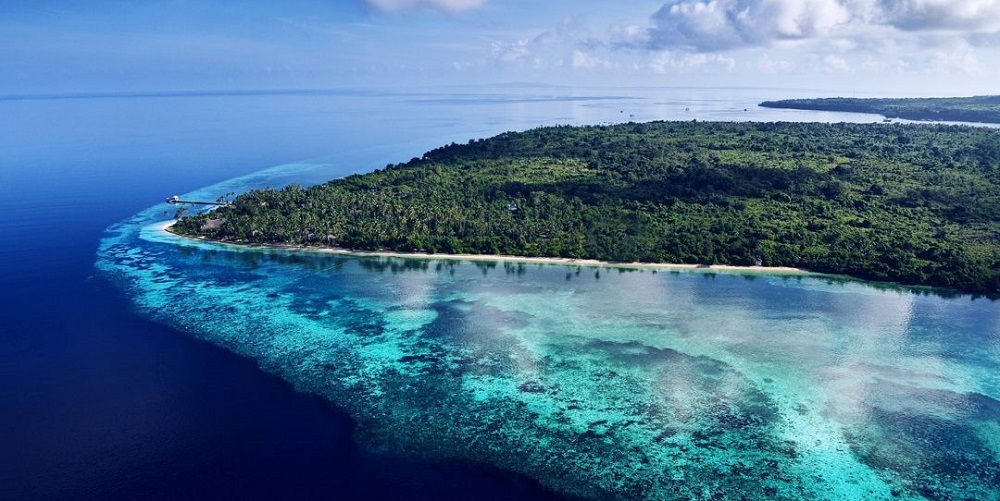 Surga Para Penyelam? Wisata Terbaru 2024, Destinasi Unik di Wakatobi Pesona Indah Bawah Laut Bikin Terkesima!