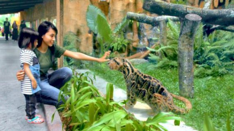 Liburan ke Jogja dari Solo, Rencana Perjalanan ke Gembira Loka 