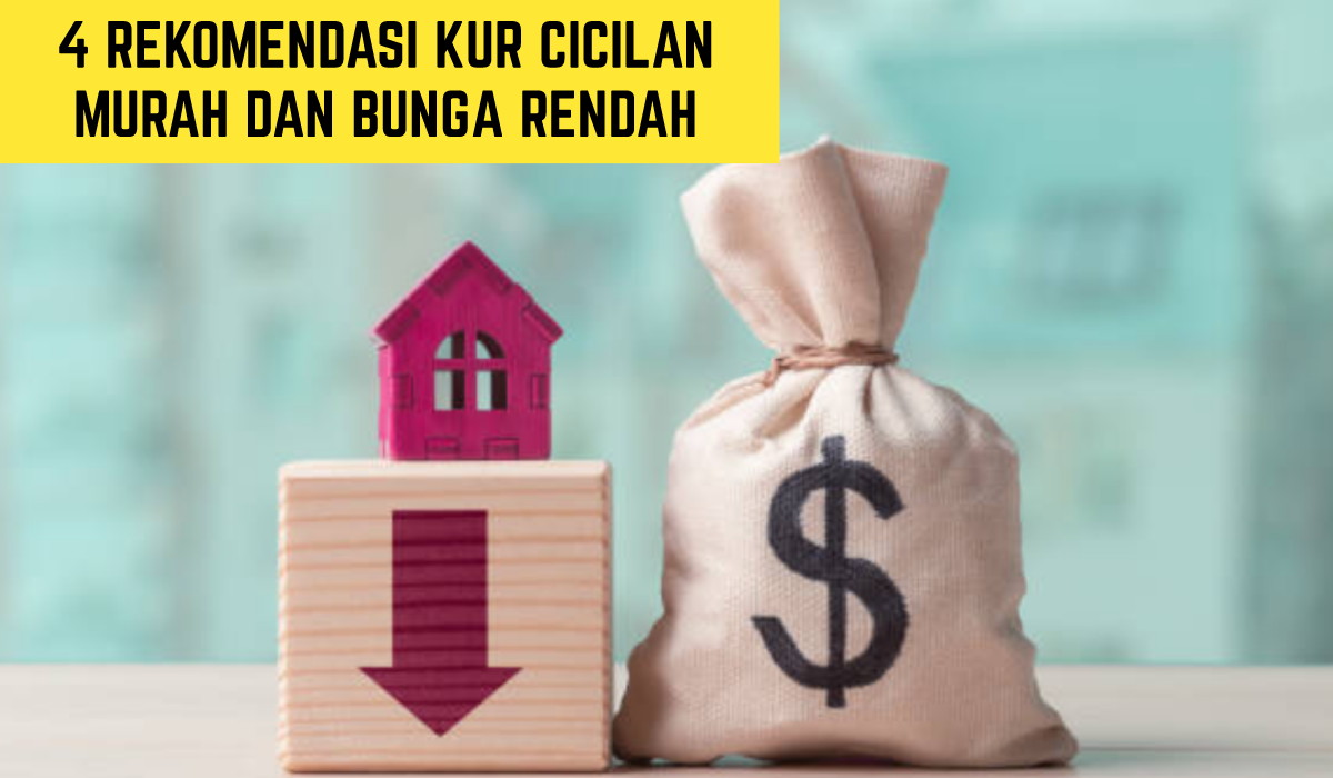 Sudah Tahu Belum?? Ini 4 Rekomendasi KUR dengan Cicilan Murah dan Bunga Rendah untuk Para Pelaku UMKM