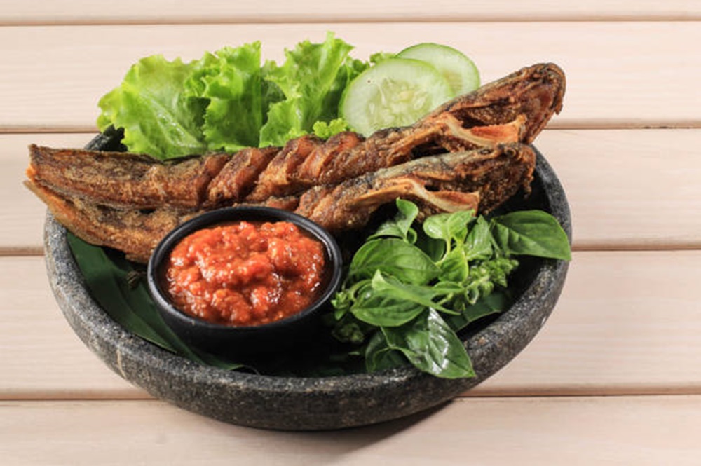 Rekomendasi Pecel Lele Enak Jogja Buat Makan Malam, Rasa Dijamin Tidak Mengecewakan