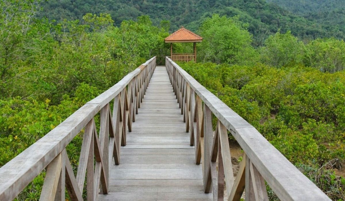 7 Daftar Wisata Indah Paling Seru dan Memukau di Trenggalek, Cek Daftar Lengkapnya Disini