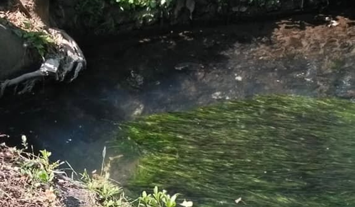 Kronologi Bocah TK Tenggelam di Sungai Winongo Kecil Bantul Usai Salat Zuhur