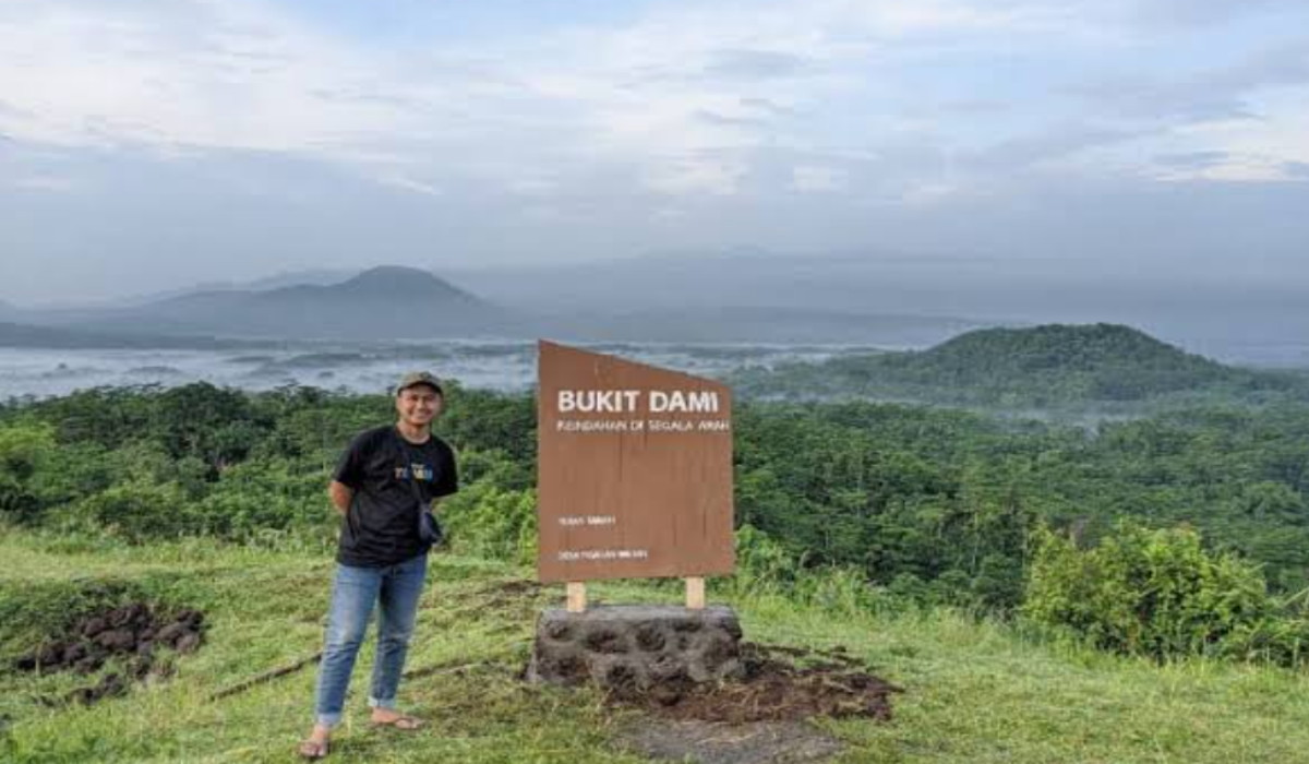 Wisata Terbaru 2024 Bukit Dami Probolinggo: Keindahan Alam Dibalut Landscape Kota Estetik