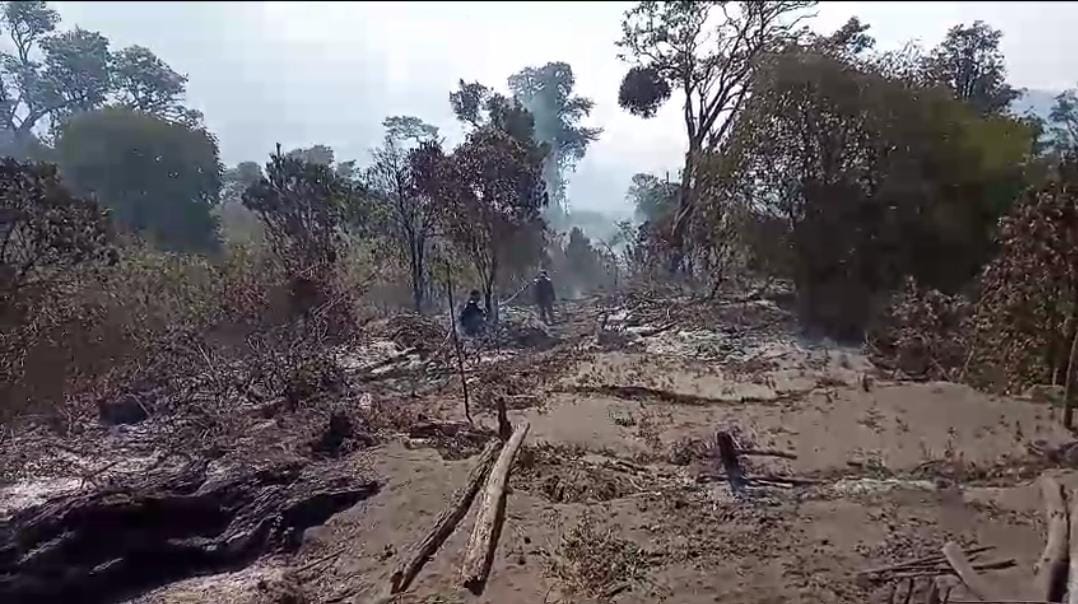 Waspada! Lahan Jalur Pendakian Gunung Slamet Terbakar