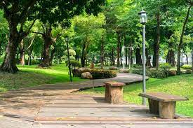 Inovasi Wisata Terbaru 2024 di Jakarta? 5 Rekomendasi Tempat Asik Untuk Piknik di Taman Bareng Bestie Kamu!