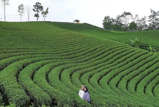 5 Destinasi Wisata Terbaru 2024 Banten? Tampilkan Suasana Nyaman dan Cocok Buat Liburan, Yuk Segera Berkunjung