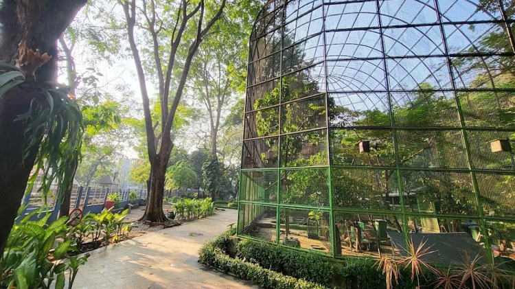 Liburan Hemat Keluarga di Surabaya yang Murah dan Ramah Anak, Ada Taman Flora Bratang