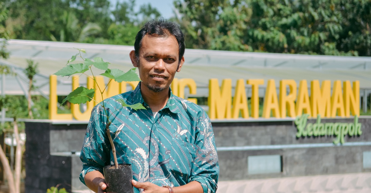 Manfaatkan Tanah Kalurahan melalui Lumbung Mataraman, Budidaya Komoditas Cabai Hasilkan Keuntungan