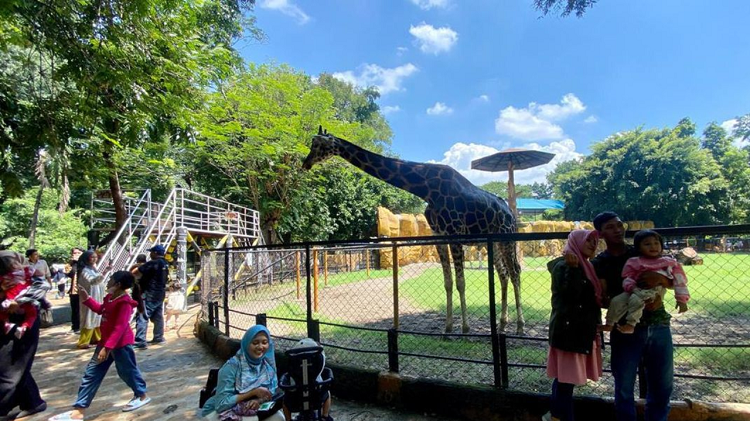 Rekomendasi Destinasi Kids Friendly Terbaik Surabaya untuk Liburan Akhir Tahun, Simak Info Lengkapnya Disini