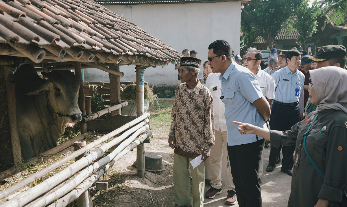 Jelang Idul Adha, Stok Hewan Kurban di Sleman dan Kota Yogyakarta Tercukupi