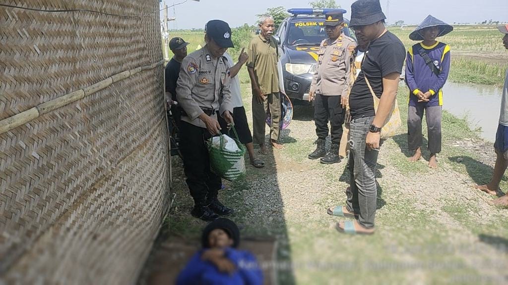 Warga Wanasari Brebes Temukan Petani Meninggal di Area Persawahan