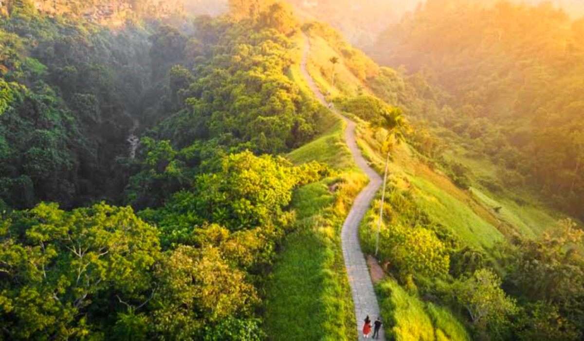 Jalur Trekking Favorit Wisatawan? Inilah Daya Tarik Wisata Terbaru 2024 Campuhan Ridge Walk Ubud Bali