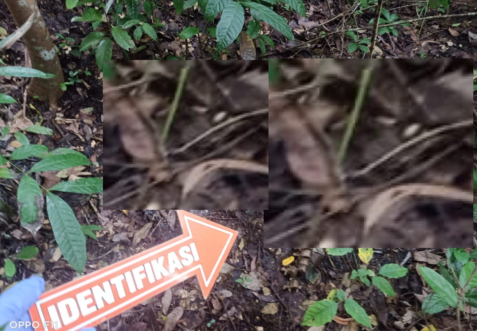 Kerangka Manusia Ditemukan di Gunung Tugel Kulon Progo, Diduga Warga yang Hilang Sejak Desember