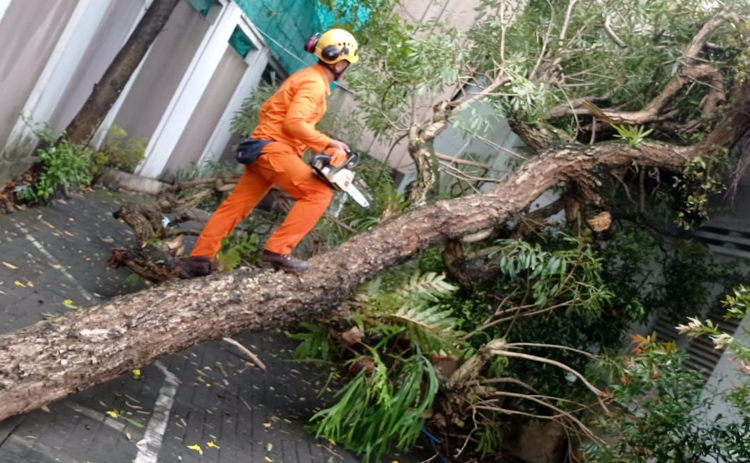 Cuaca Yogyakarta Tak Menentu, Masyarakat Diminta Waspada Banjir dan Angin Kencang