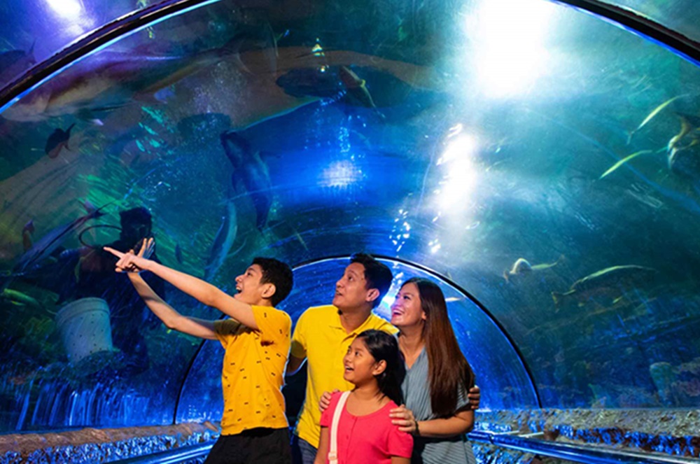 Daftar Tempat Wisata Ramah Anak di Jabodetabek untuk Liburan Keluarga, Cek Lokasinya Disini