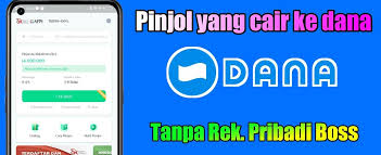 Butuh Tambahan Uang? Inilah Daftar Pinjol Langsung Cair Masuk Dana, Tanpa Rekening Bank Terjamin Aman