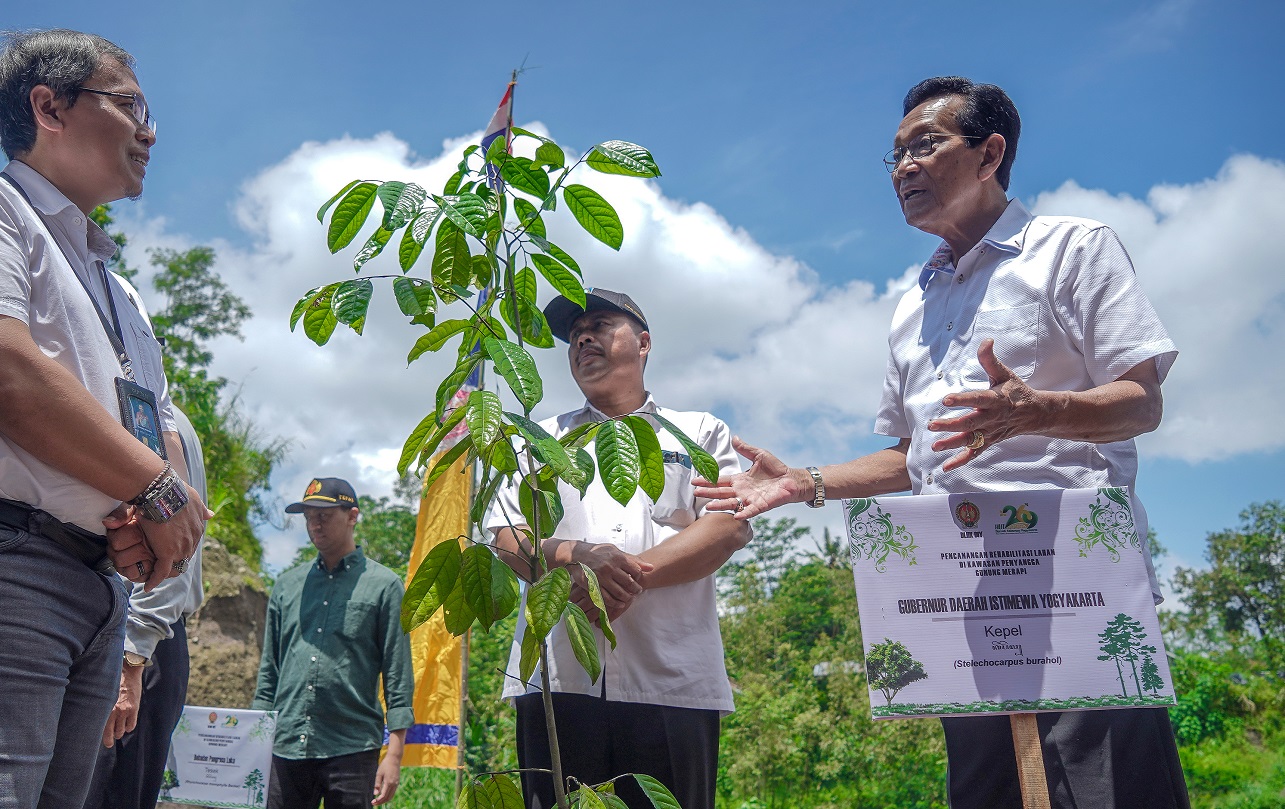 Komitmen Jaga Kondisi Alam, Pemda DIY  Rehabilitasi Lahan di Kawasan Penyangga Gunung Merapi